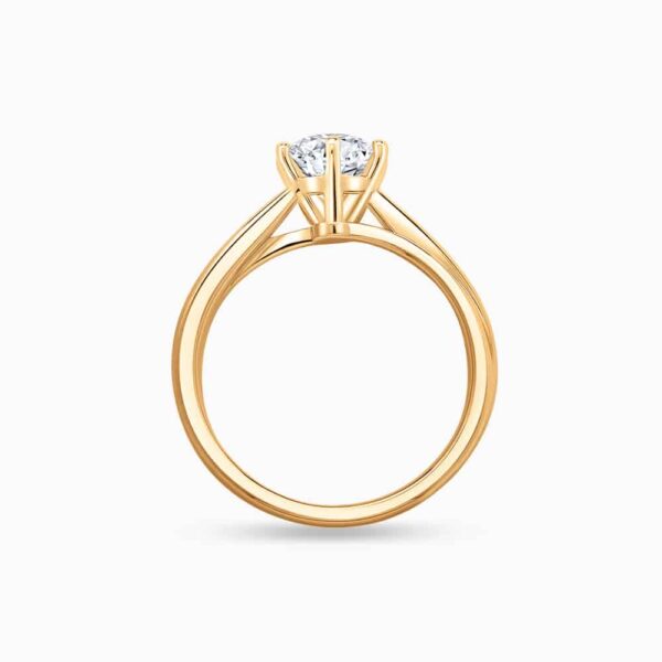 an overlay of the yellow gold engagement rings for women with double band